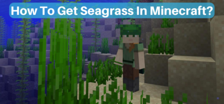 How To Get Seagrass In Minecraft?
