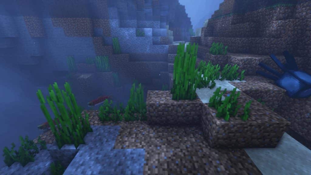 seagrass in Minecraft