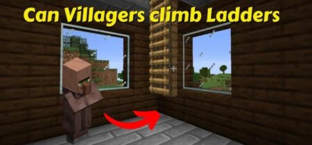 Can Villagers climb Ladders?