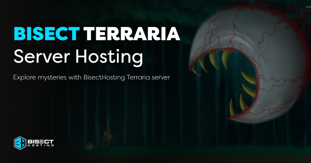 How Much Does A Terraria Server Cost