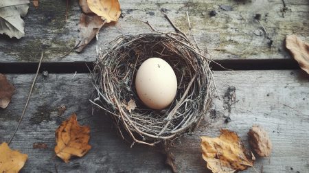 How to Craft an Egg in a Nest Easily in Minecraft 2025